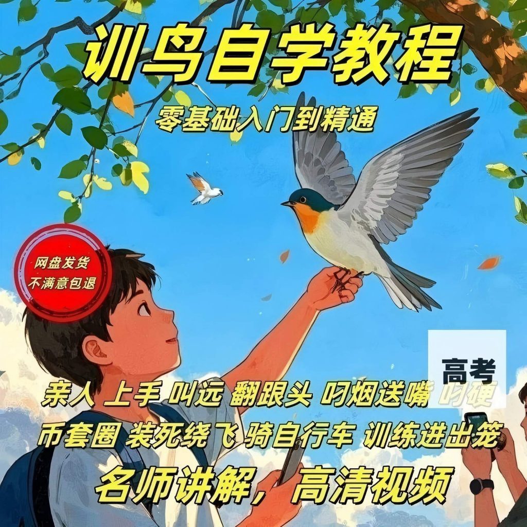 图片[1]-训鸟教程零基础学习 训鸟虎皮牡丹玄凤鹦鹉训练全套解说视频课程-资源库
