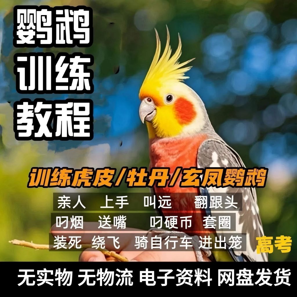 图片[2]-训鸟教程零基础学习 训鸟虎皮牡丹玄凤鹦鹉训练全套解说视频课程-资源库
